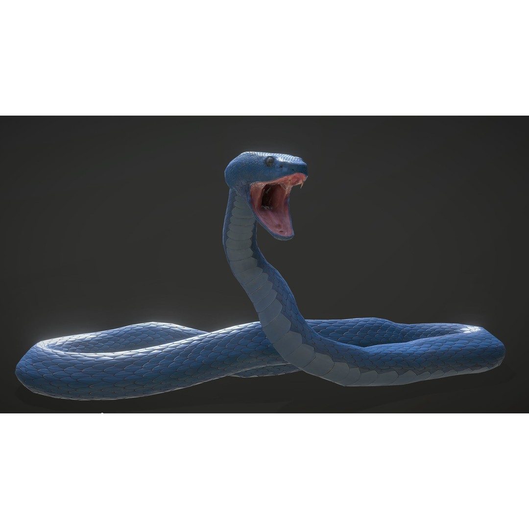 Blue Viper 3D Model – Low Poly Rigged Animation Asset, FBX - View 7