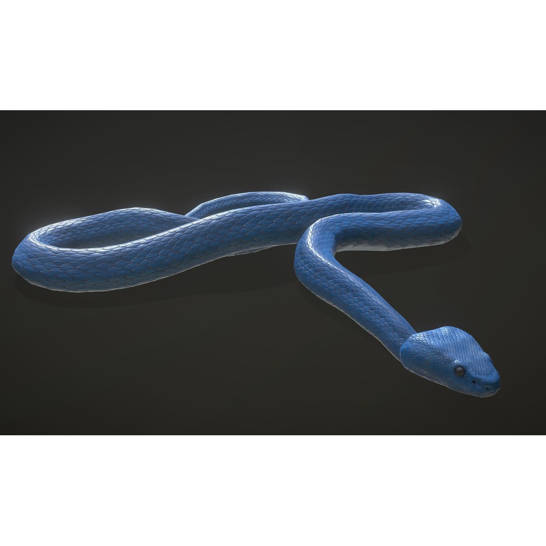 Blue Viper 3D Model – Low Poly Rigged Animation Asset, FBX - View 8