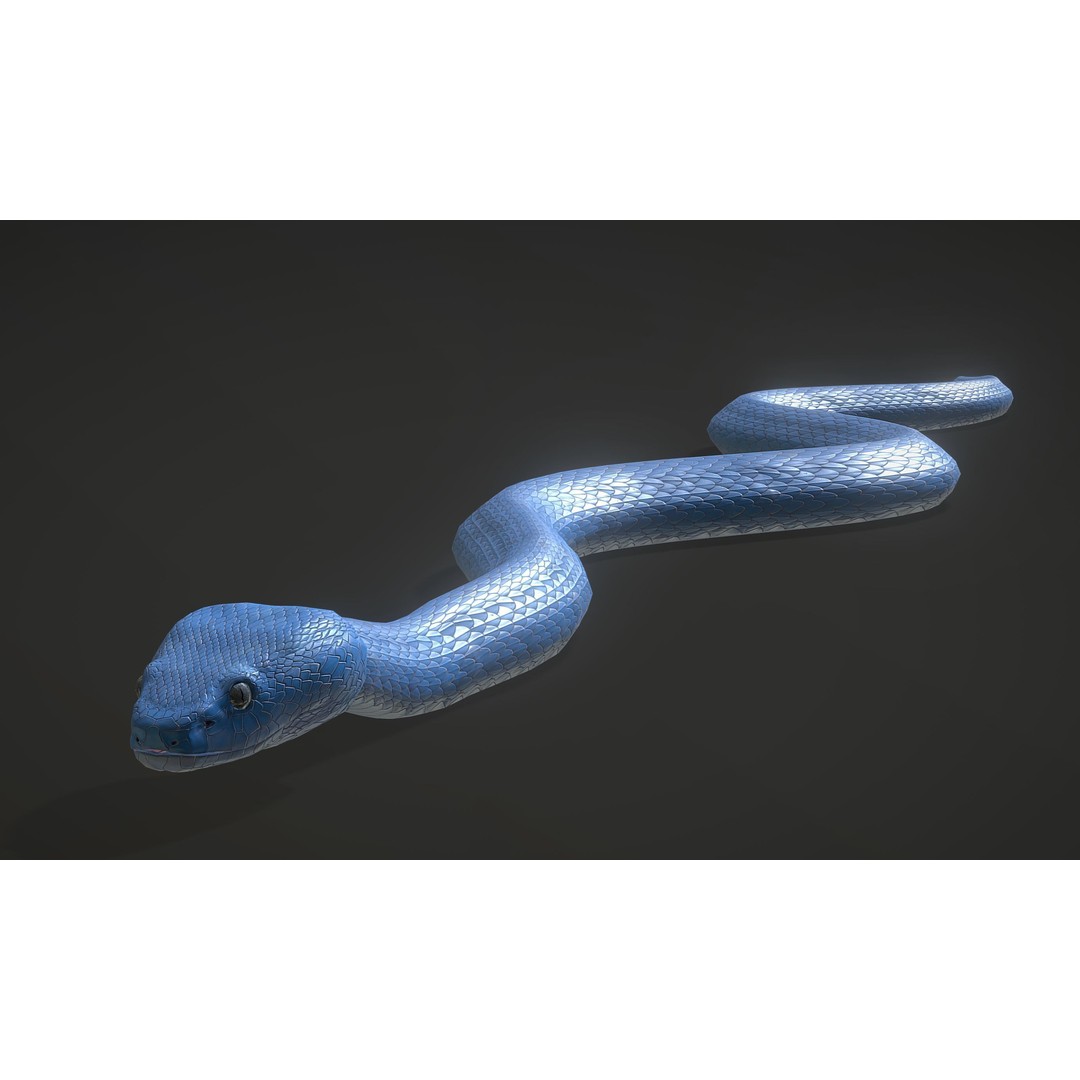Blue Viper 3D Model – Low Poly Rigged Animation Asset, FBX - View 9
