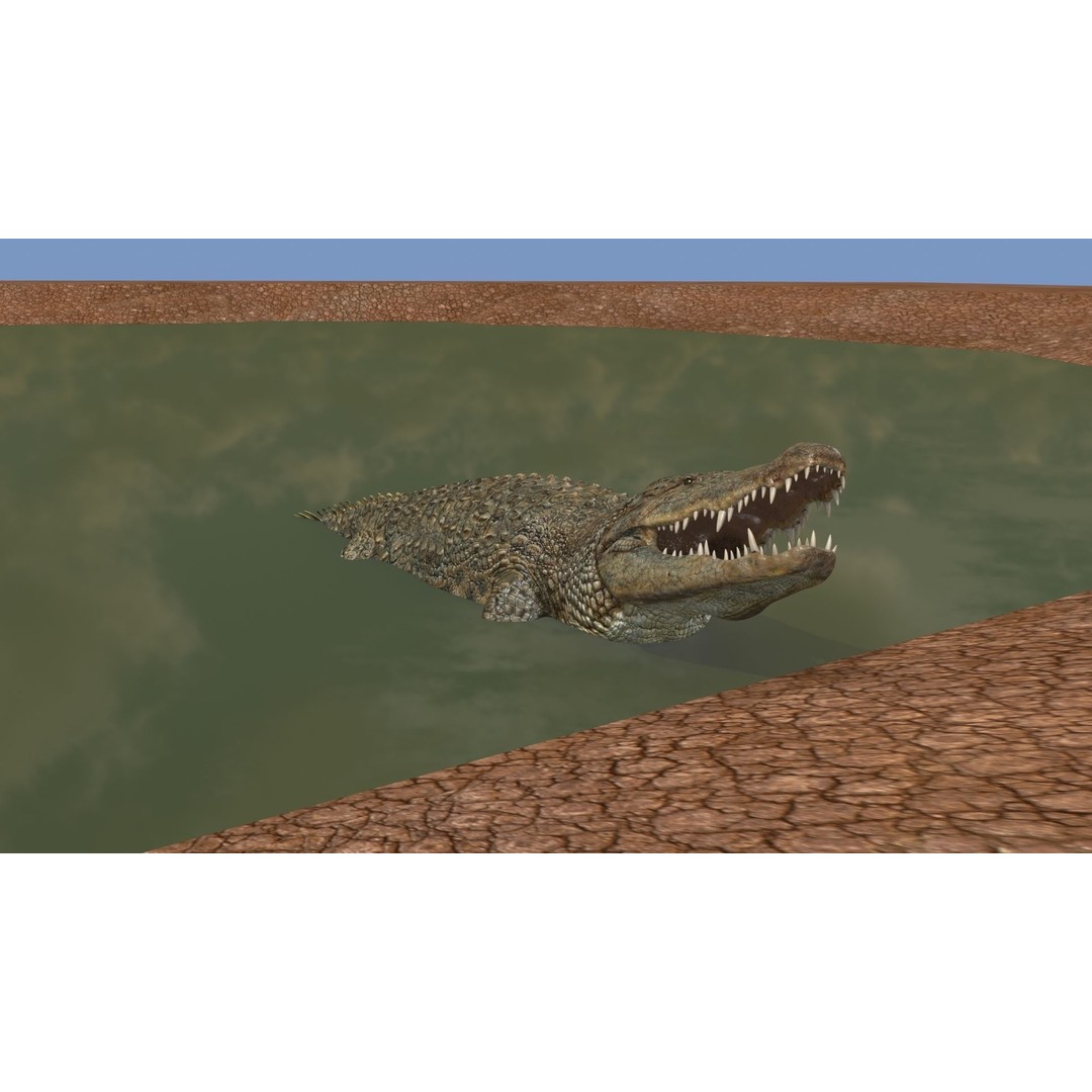 Crocodile 3D Model – 8K Animated Rigged Asset for Animation - View 21