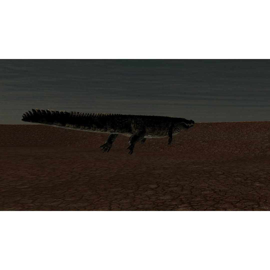Crocodile 3D Model – 8K Animated Rigged Asset for Animation - View 22