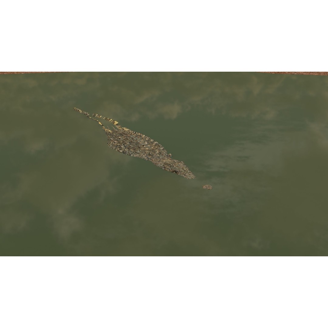 Crocodile 3D Model – 8K Animated Rigged Asset for Animation - View 23