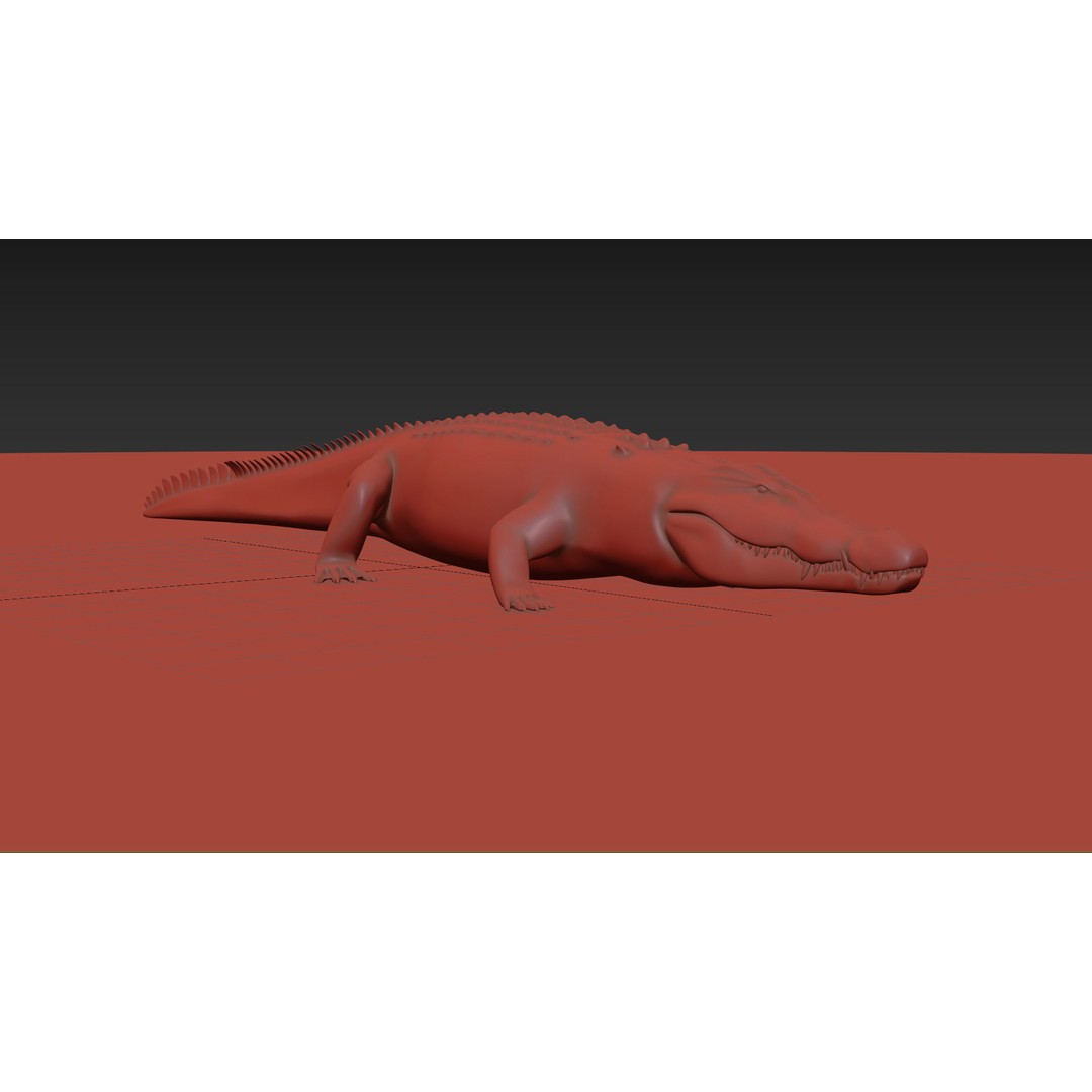Crocodile 3D Model – 8K Animated Rigged Asset for Animation - View 24