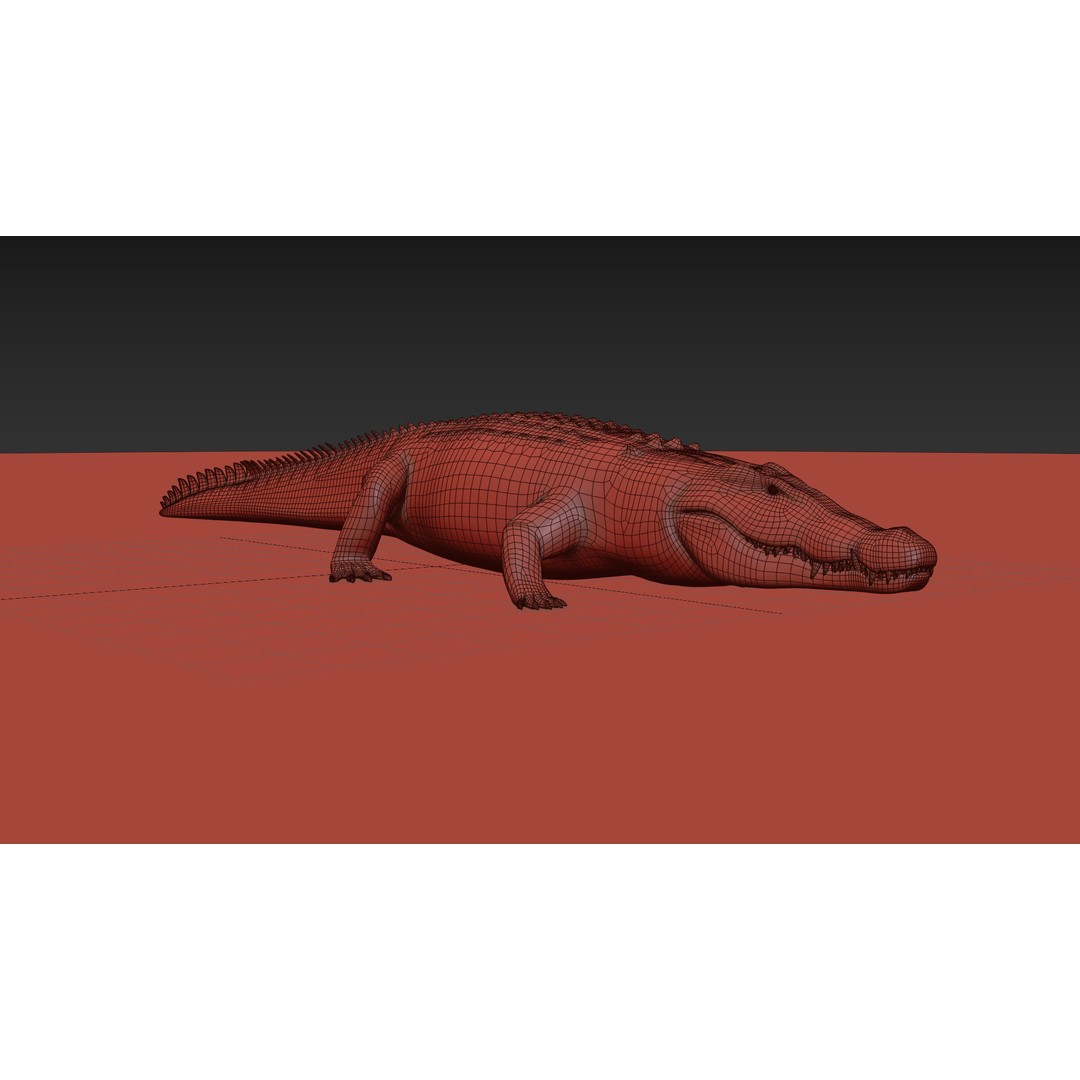 Crocodile 3D Model – 8K Animated Rigged Asset for Animation - View 26
