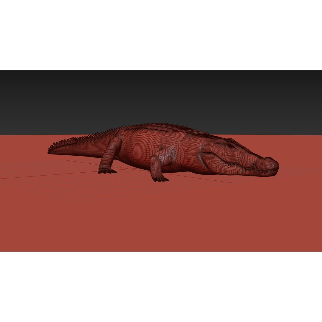 Crocodile 3D Model – 8K Animated Rigged Asset for Animation - View 27