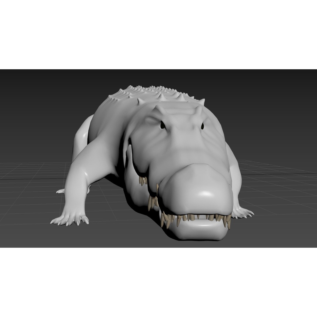 Crocodile 3D Model – 8K Animated Rigged Asset for Animation - View 28