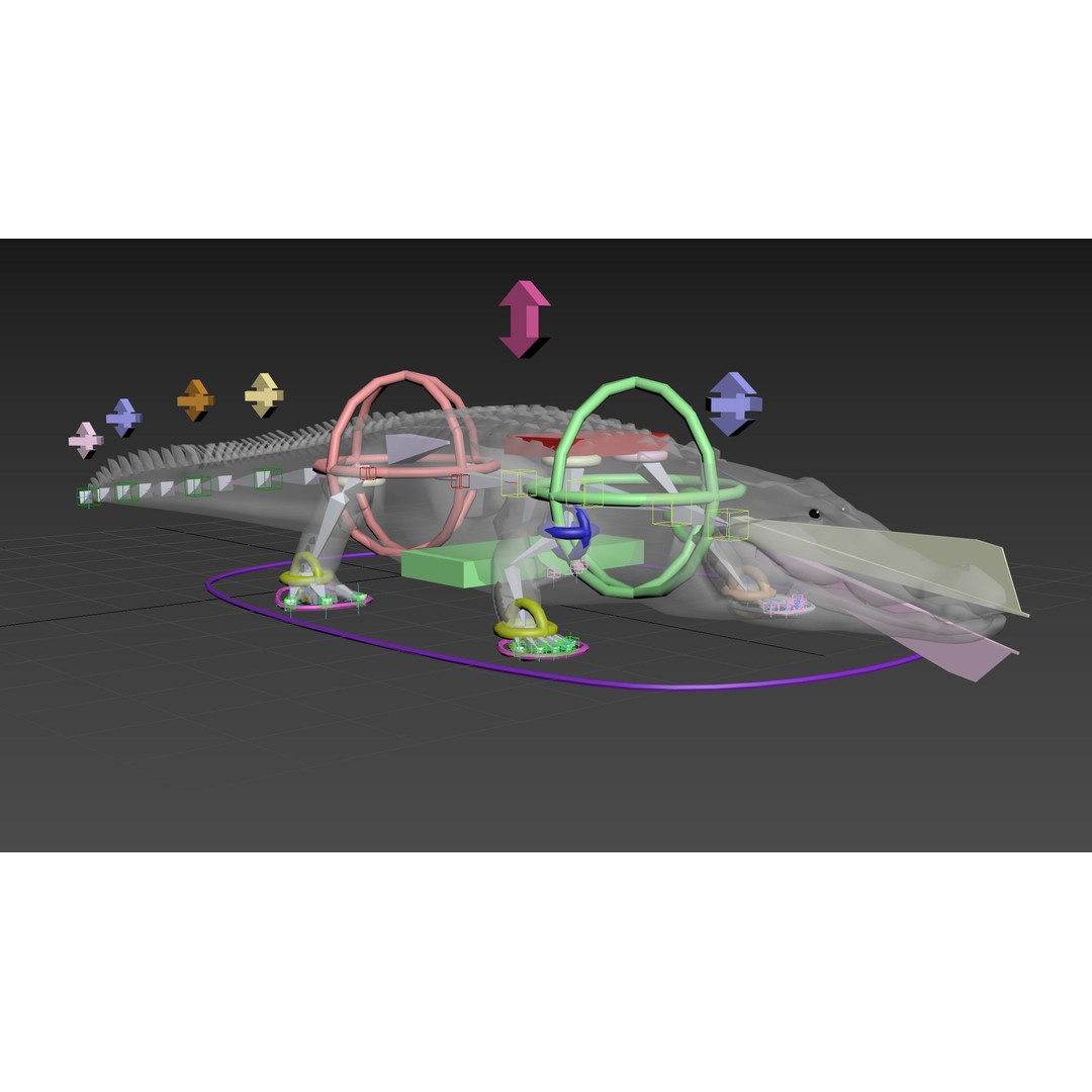 Crocodile 3D Model – 8K Animated Rigged Asset for Animation - View 29