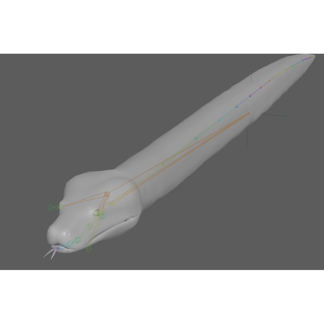 Burmese Python 3D Model – Rigged PBR Asset, Blender, FBX, OBJ - View 15