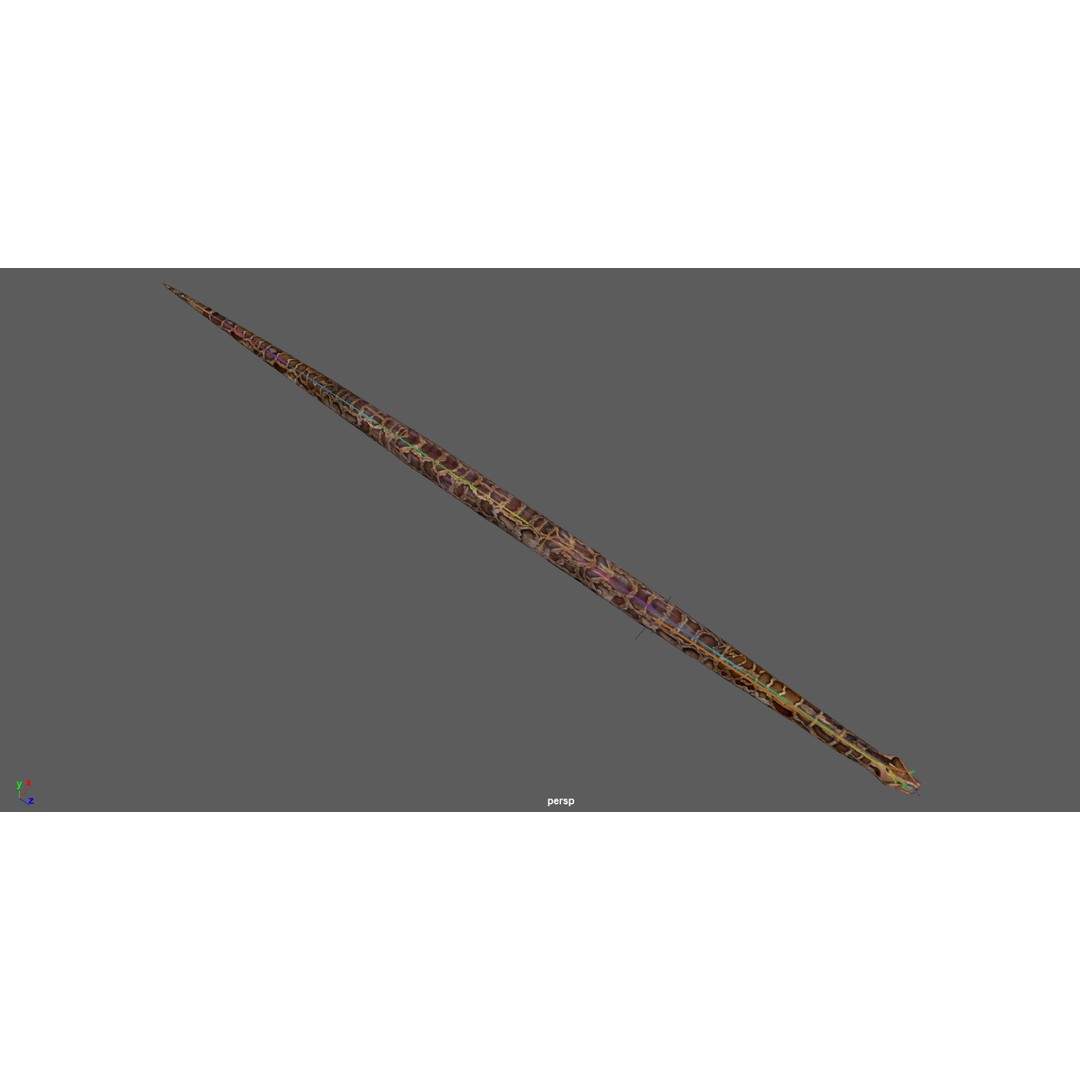 Burmese Python 3D Model – Rigged PBR Asset, Blender, FBX, OBJ - View 23