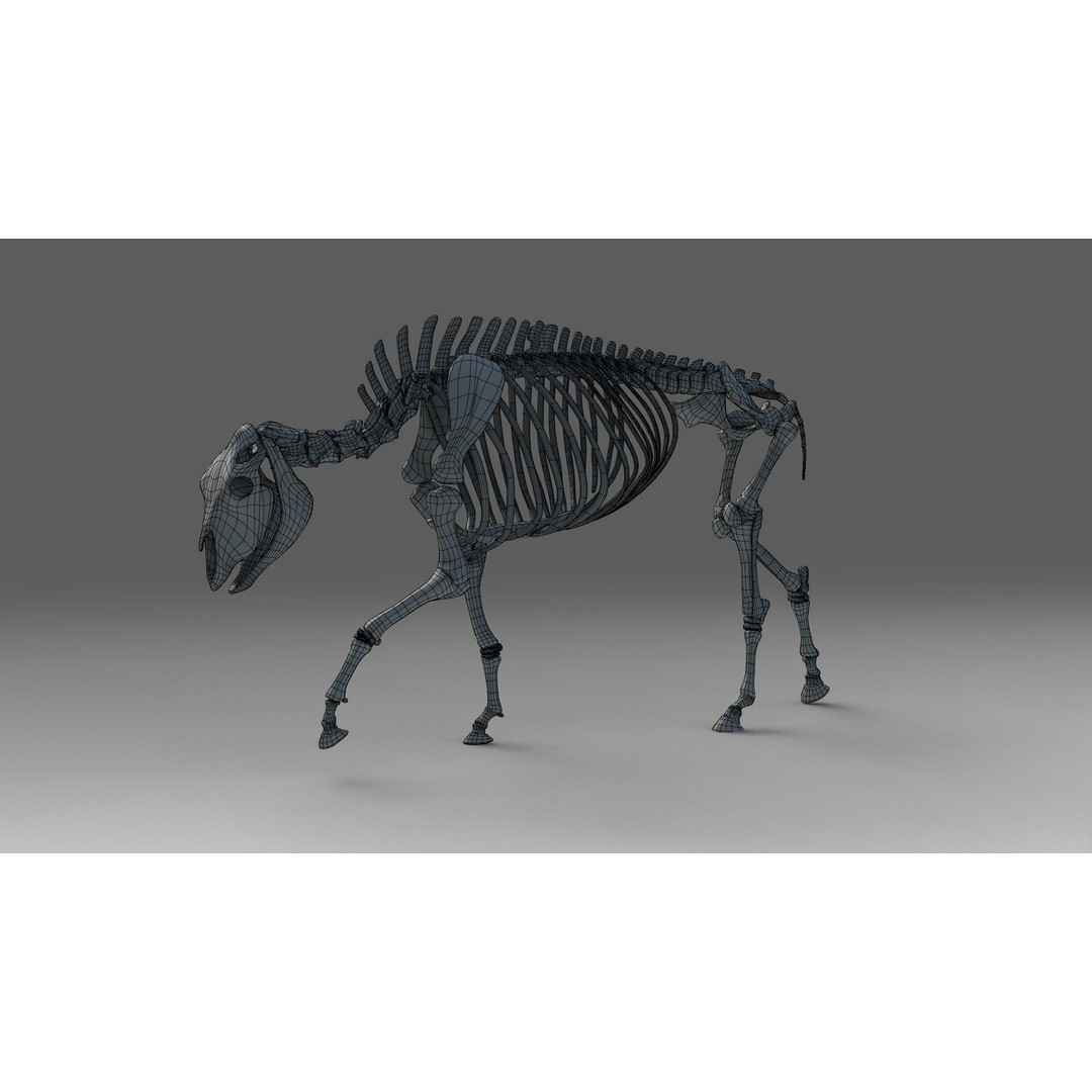 Bison Male Animated 3D Model – High Poly Rigged Character with PBR Textures - View 11