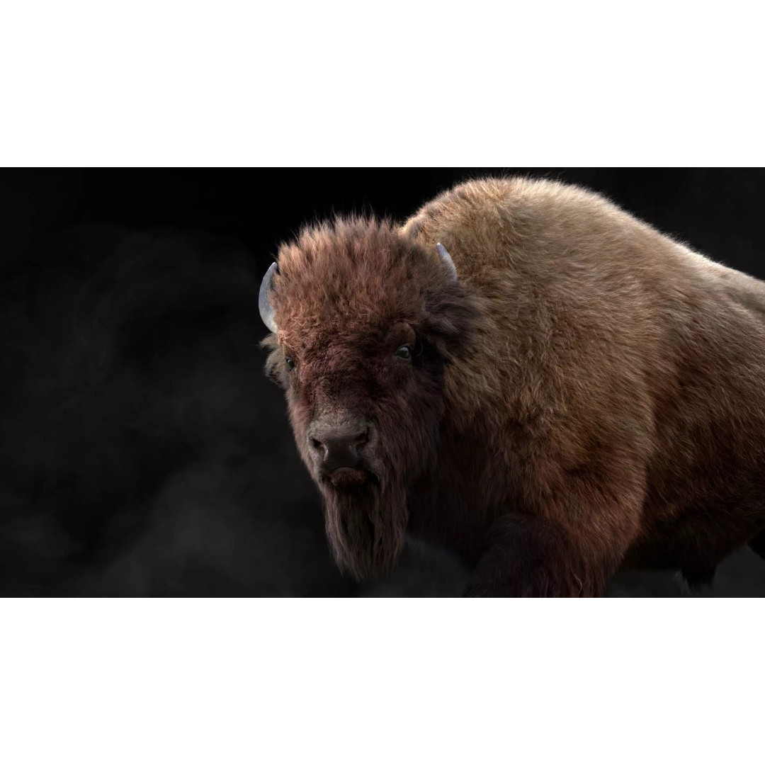 Bison Male Animated 3D Model – High Poly Rigged Character with PBR Textures - View 2