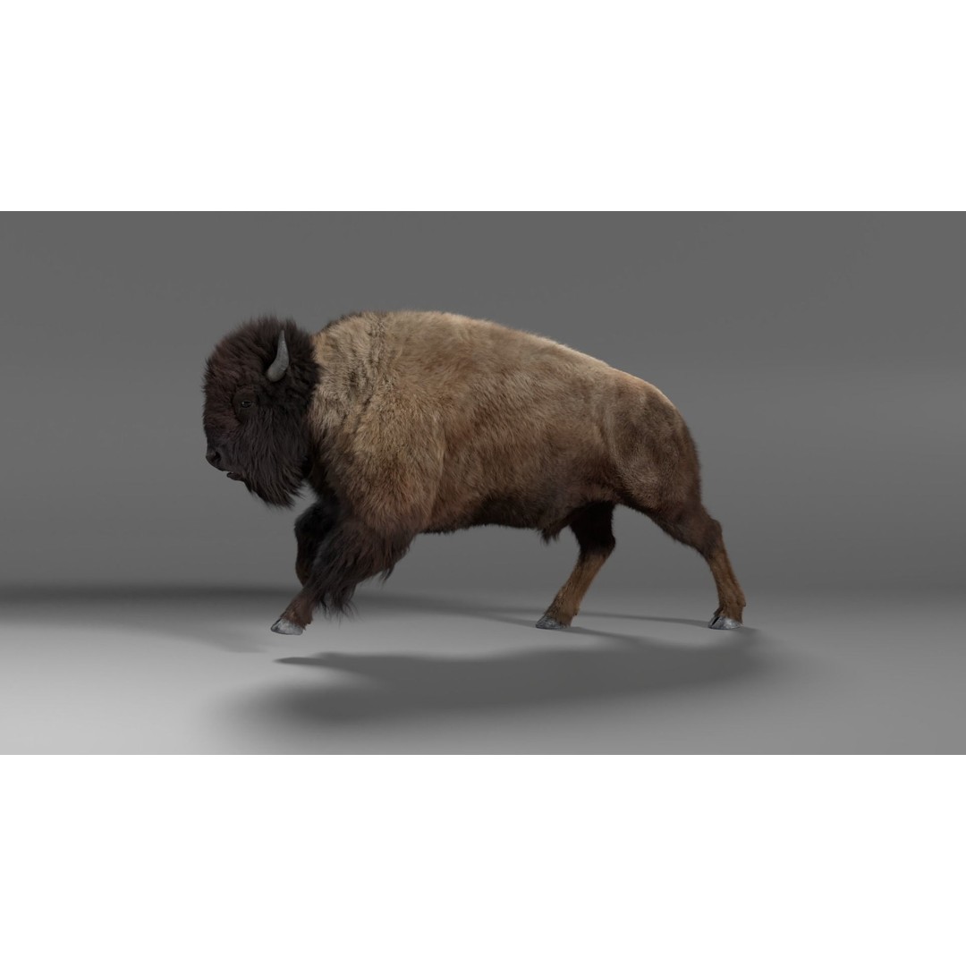 Bison Male Animated 3D Model – High Poly Rigged Character with PBR Textures - View 4