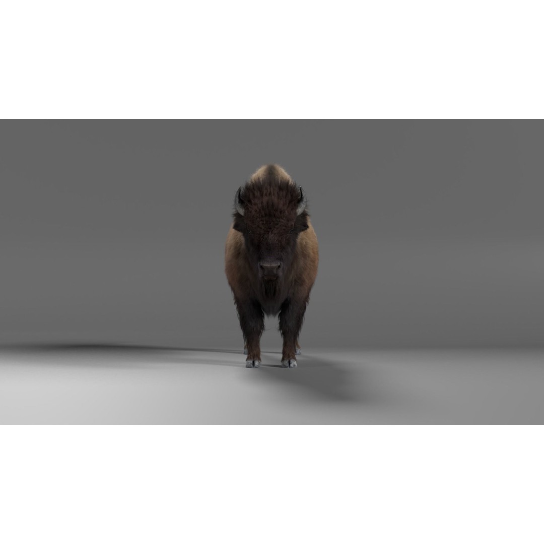 Bison Male Animated 3D Model – High Poly Rigged Character with PBR Textures - View 5