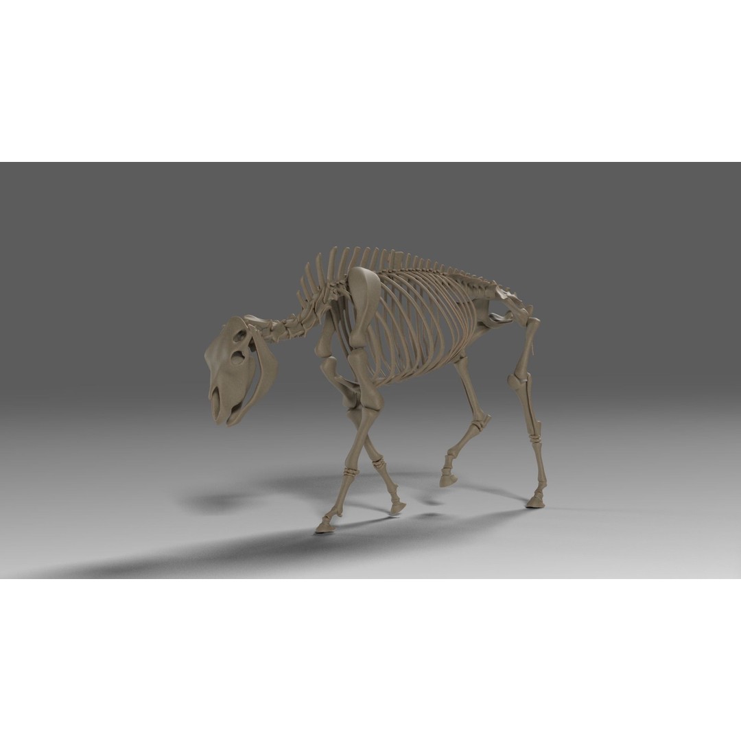 Bison Male Animated 3D Model – High Poly Rigged Character with PBR Textures - View 9