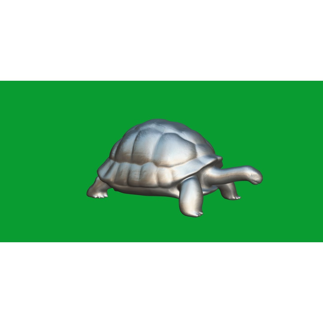 Galapagos Giant Tortoise 3D Model – Low Poly Game Ready, FBX, OBJ - View 10