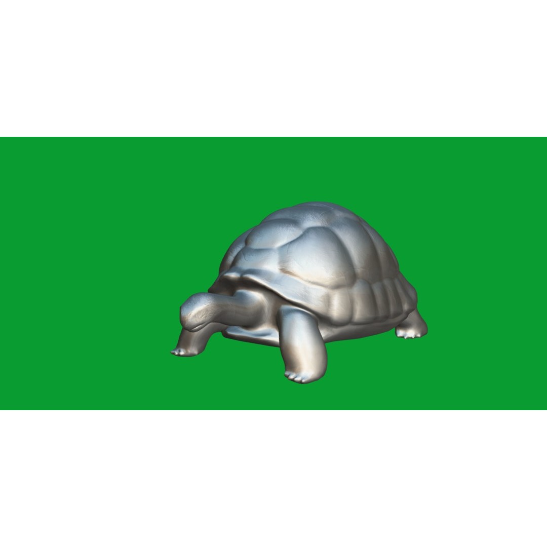 Galapagos Giant Tortoise 3D Model – Low Poly Game Ready, FBX, OBJ - View 11