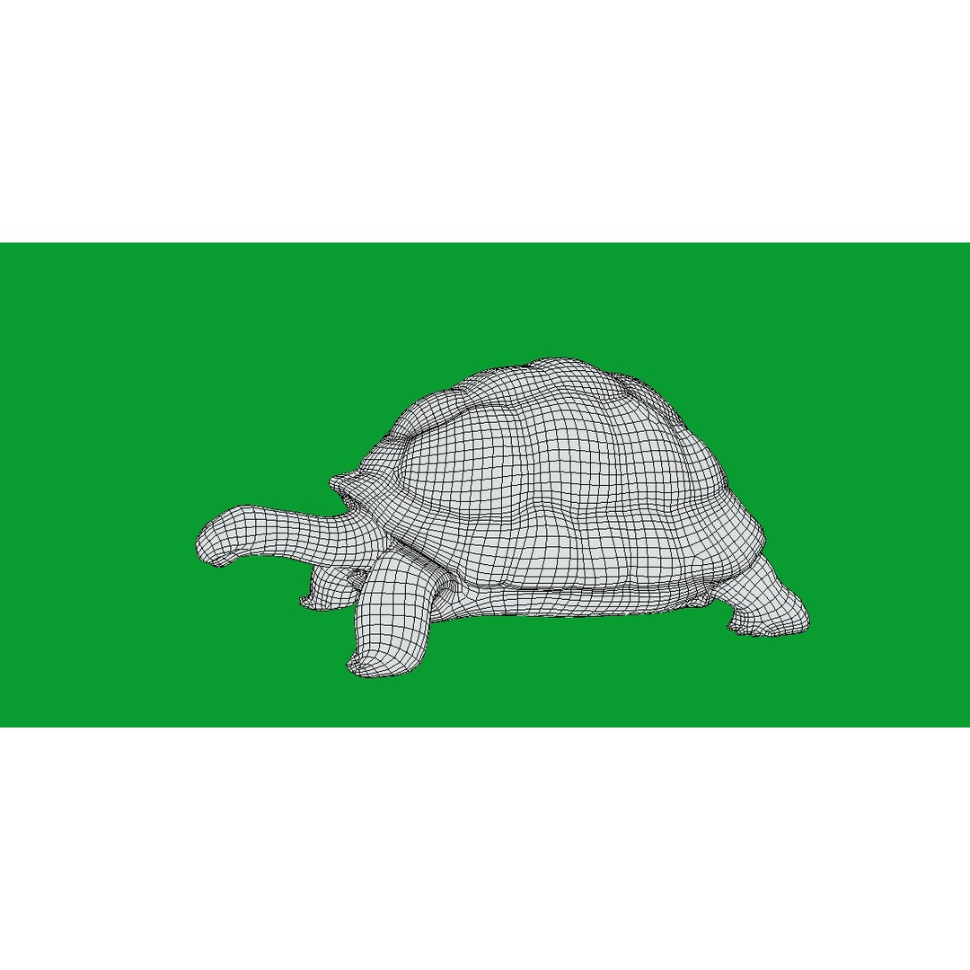 Galapagos Giant Tortoise 3D Model – Low Poly Game Ready, FBX, OBJ - View 12