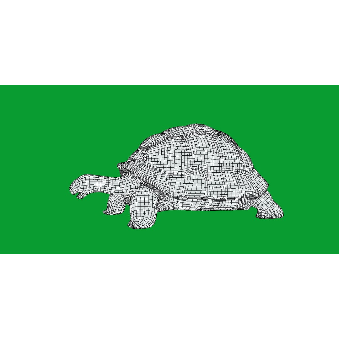 Galapagos Giant Tortoise 3D Model – Low Poly Game Ready, FBX, OBJ - View 13