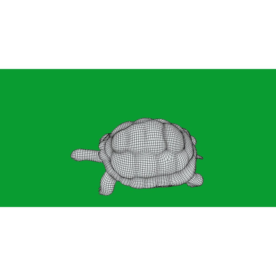Galapagos Giant Tortoise 3D Model – Low Poly Game Ready, FBX, OBJ - View 15