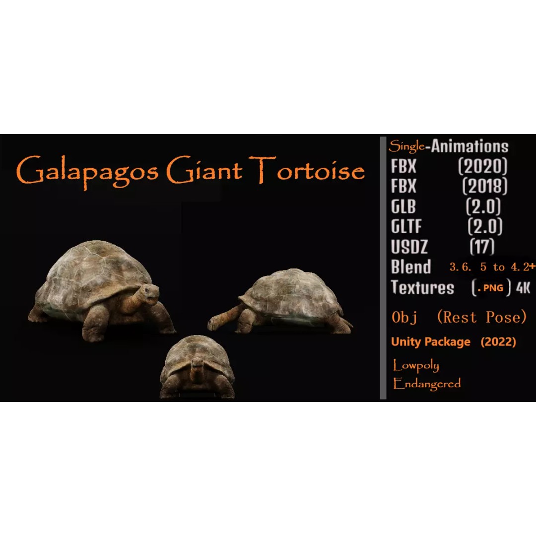 Galapagos Giant Tortoise 3D Model – Low Poly Game Ready, FBX, OBJ - View 2