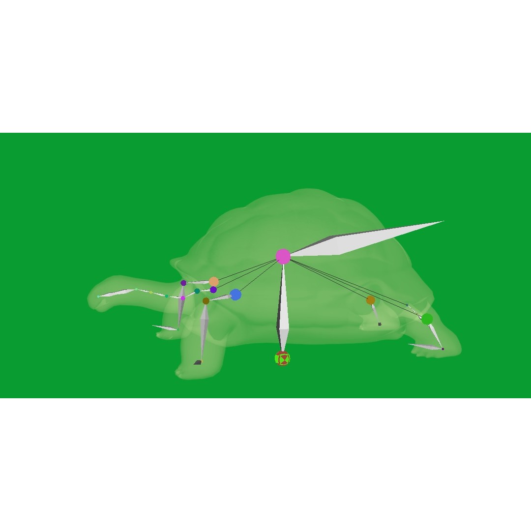 Galapagos Giant Tortoise 3D Model – Low Poly Game Ready, FBX, OBJ - View 23