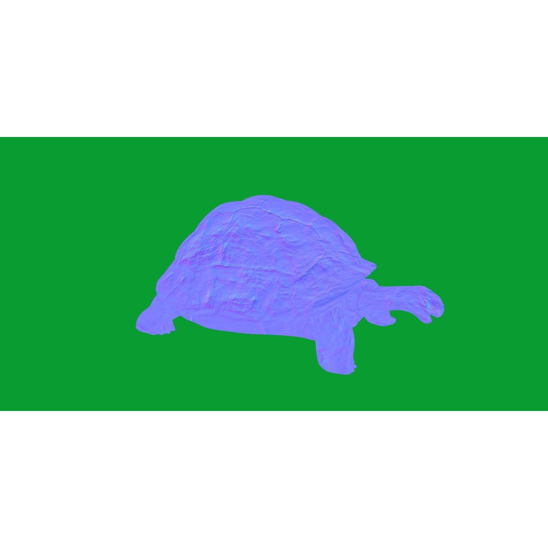 Galapagos Giant Tortoise 3D Model – Low Poly Game Ready, FBX, OBJ - View 6