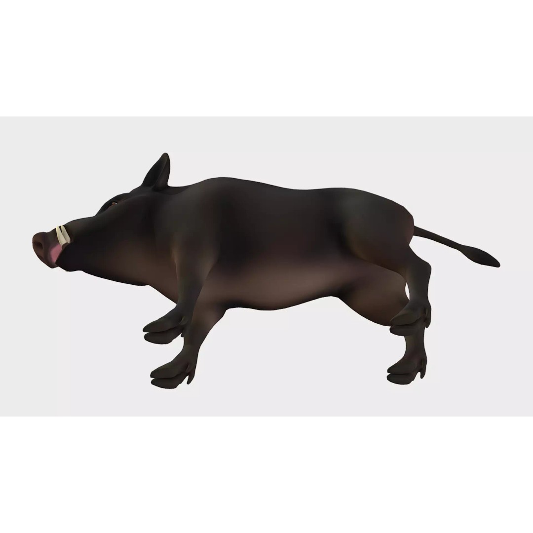 Cartoon Boar 3D Model – Low Poly Animated Character, FBX - View 7