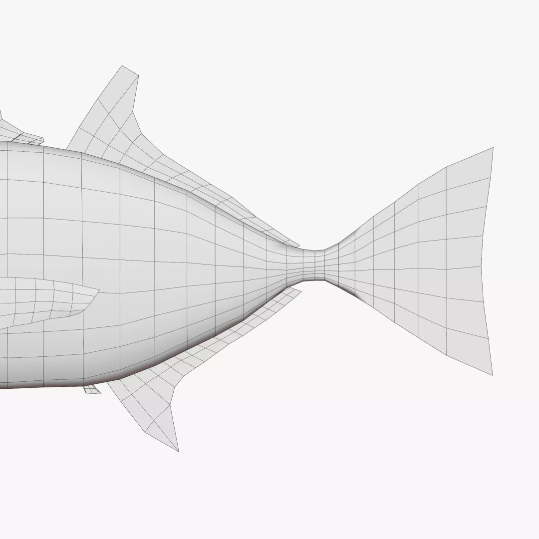 Bigeye Trevally 3D Model – Low Poly PBR Game Asset, FBX - View 8