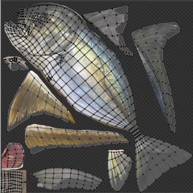 Bigeye Trevally 3D Model – Low Poly PBR Game Asset, FBX - View 9