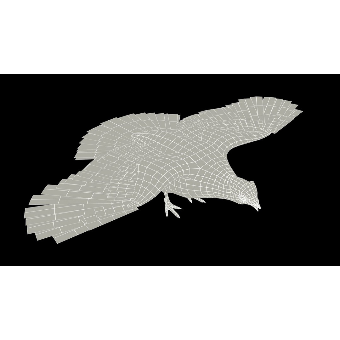 Ruffed Grouse 3D Model – Low Poly Animated Game Asset, FBX - View 11