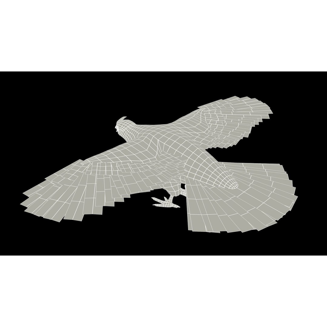 Ruffed Grouse 3D Model – Low Poly Animated Game Asset, FBX - View 12