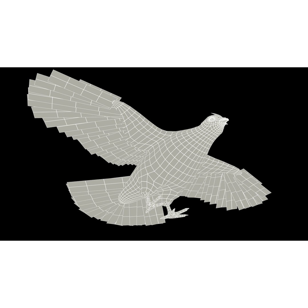 Ruffed Grouse 3D Model – Low Poly Animated Game Asset, FBX - View 13