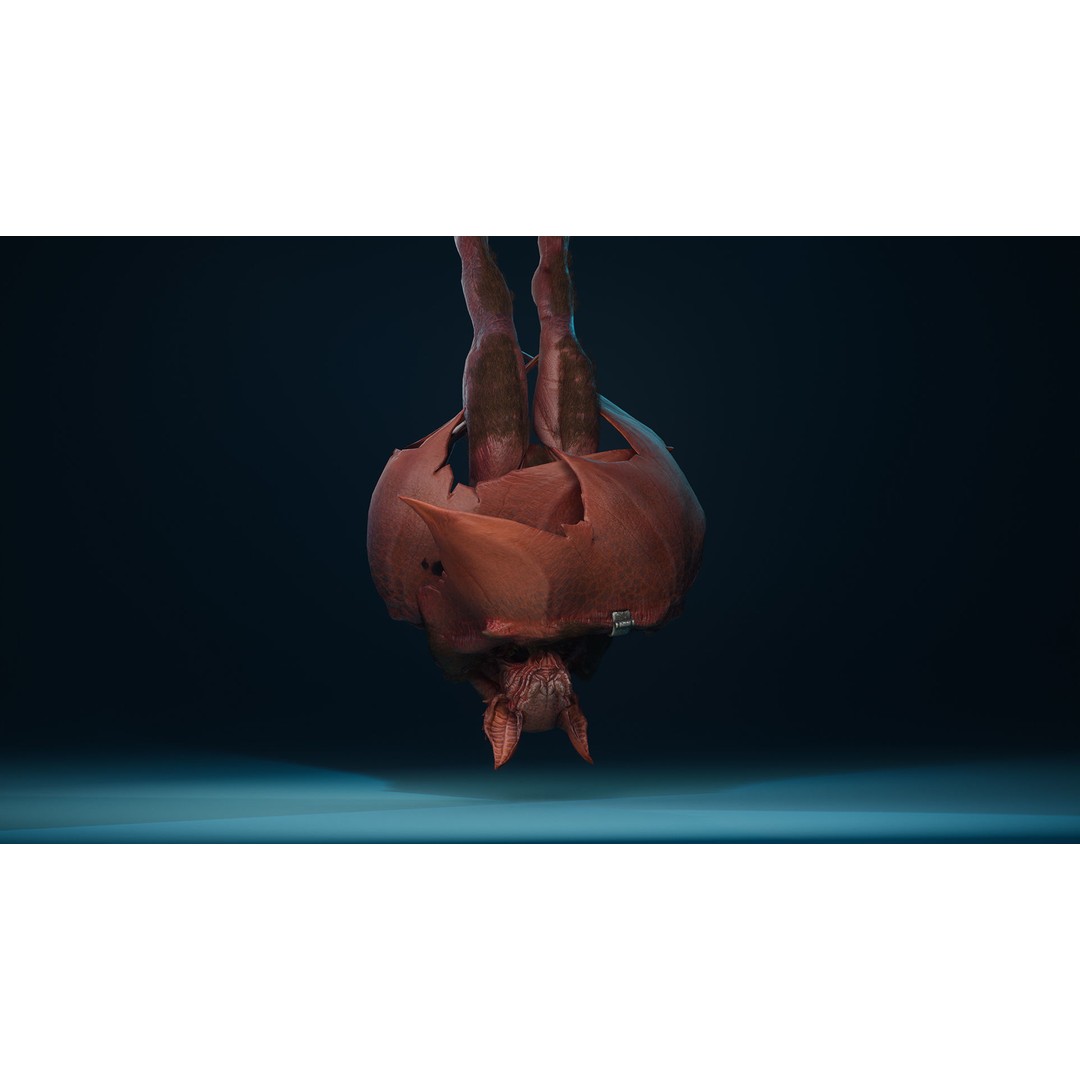 Mutant Bat 3D Model – Low Poly Animated Fantasy Character, FBX - View 11