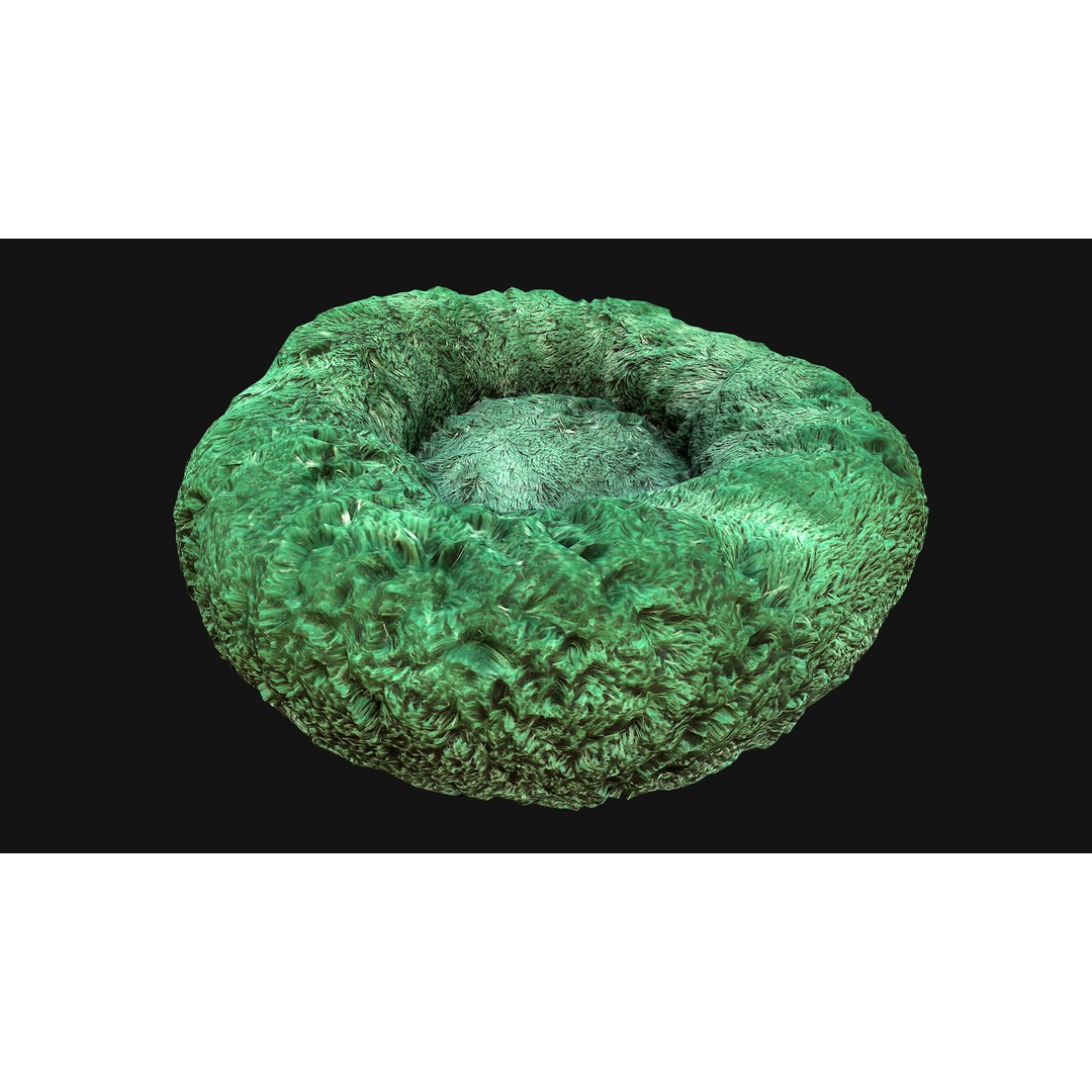 Pet Bed 3D Model – Low Poly Game Asset, PBR Textures, FBX - View 33