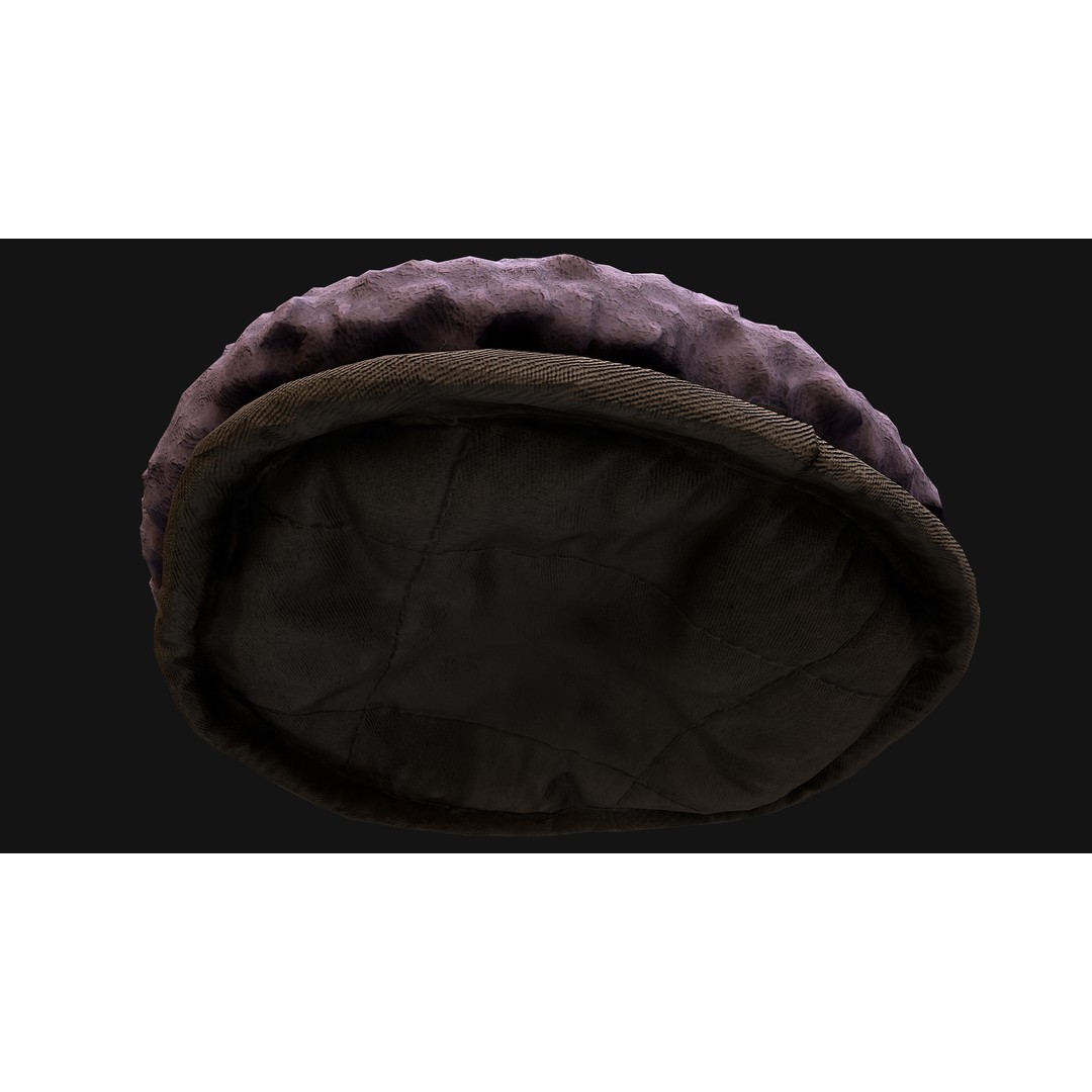 Pet Bed 3D Model – Low Poly Game Asset, PBR Textures, FBX - View 44