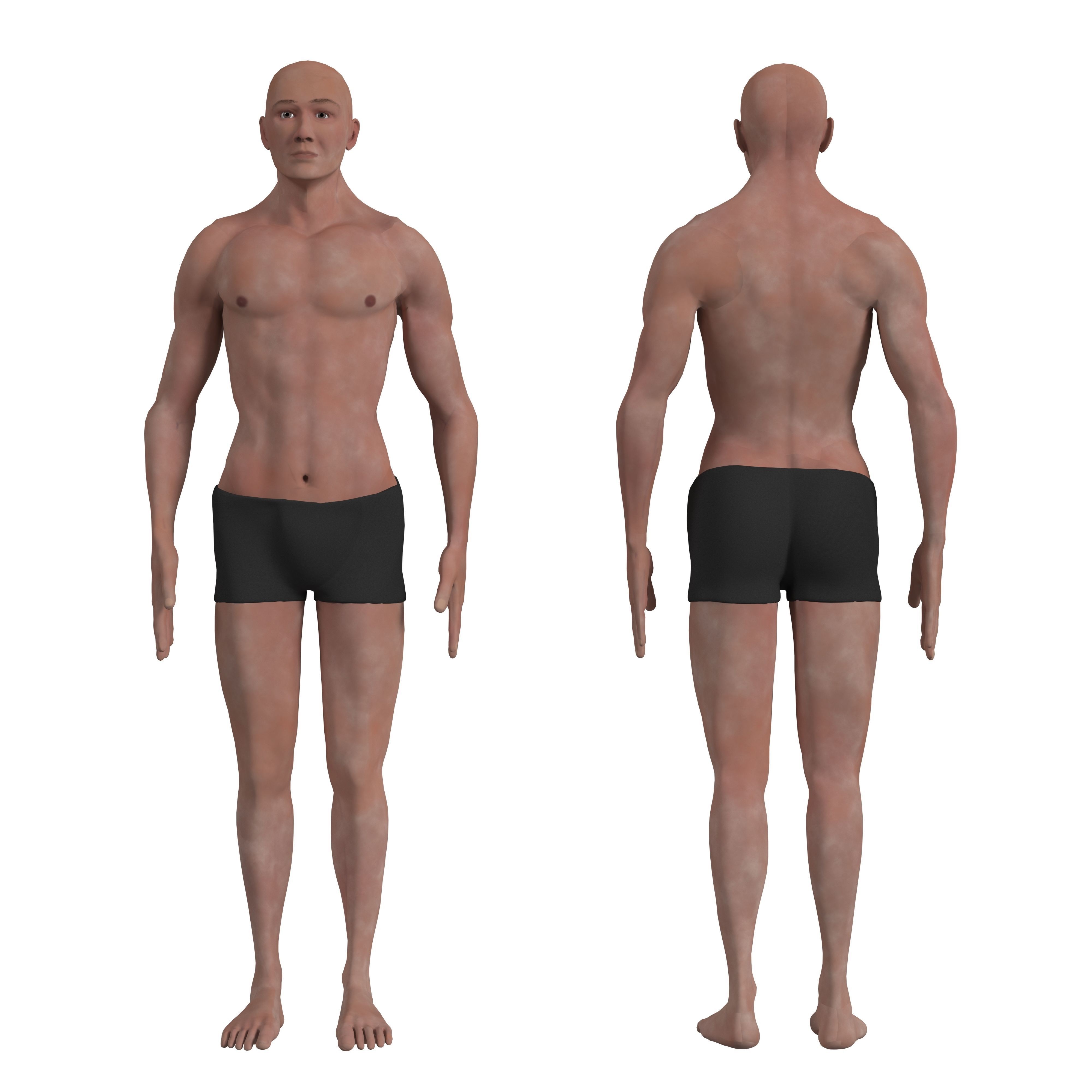 Complete Human Body Anatomy - Game-Ready 3D Model - View 5