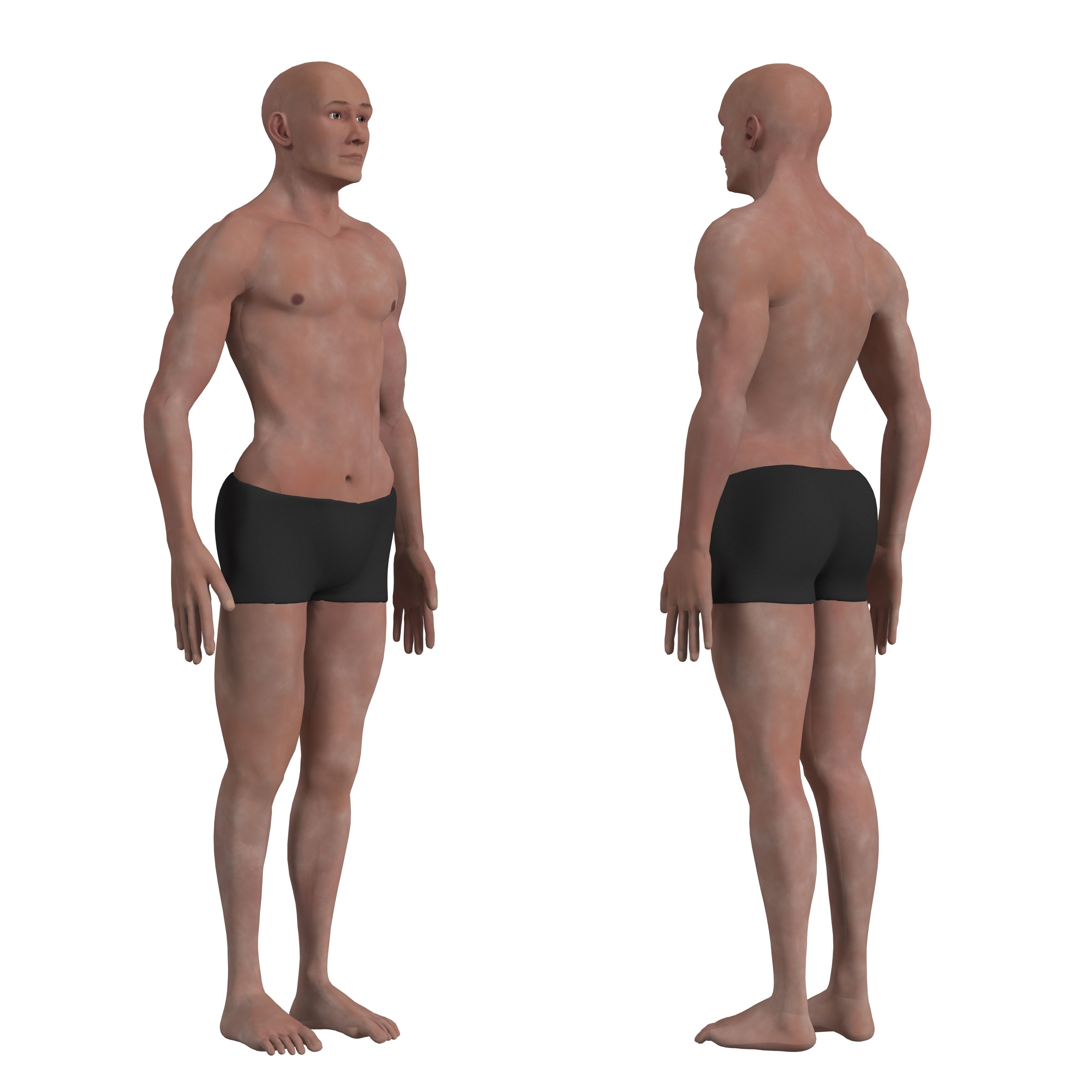 Complete Human Body Anatomy - Game-Ready 3D Model - View 6
