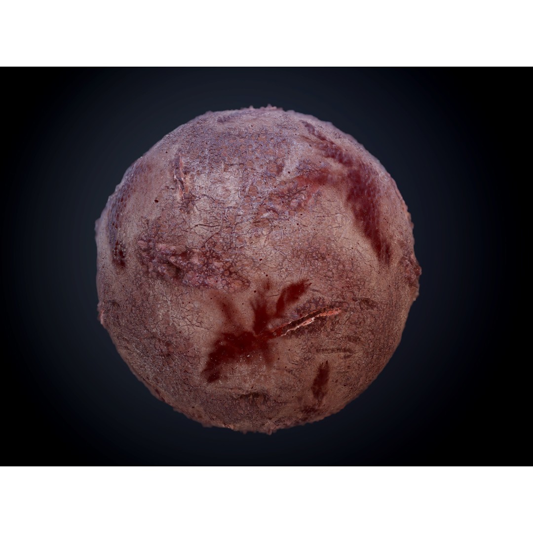 Horror Gore Skin Seamless PBR Texture Pack – 30 Textures for Games - View 17