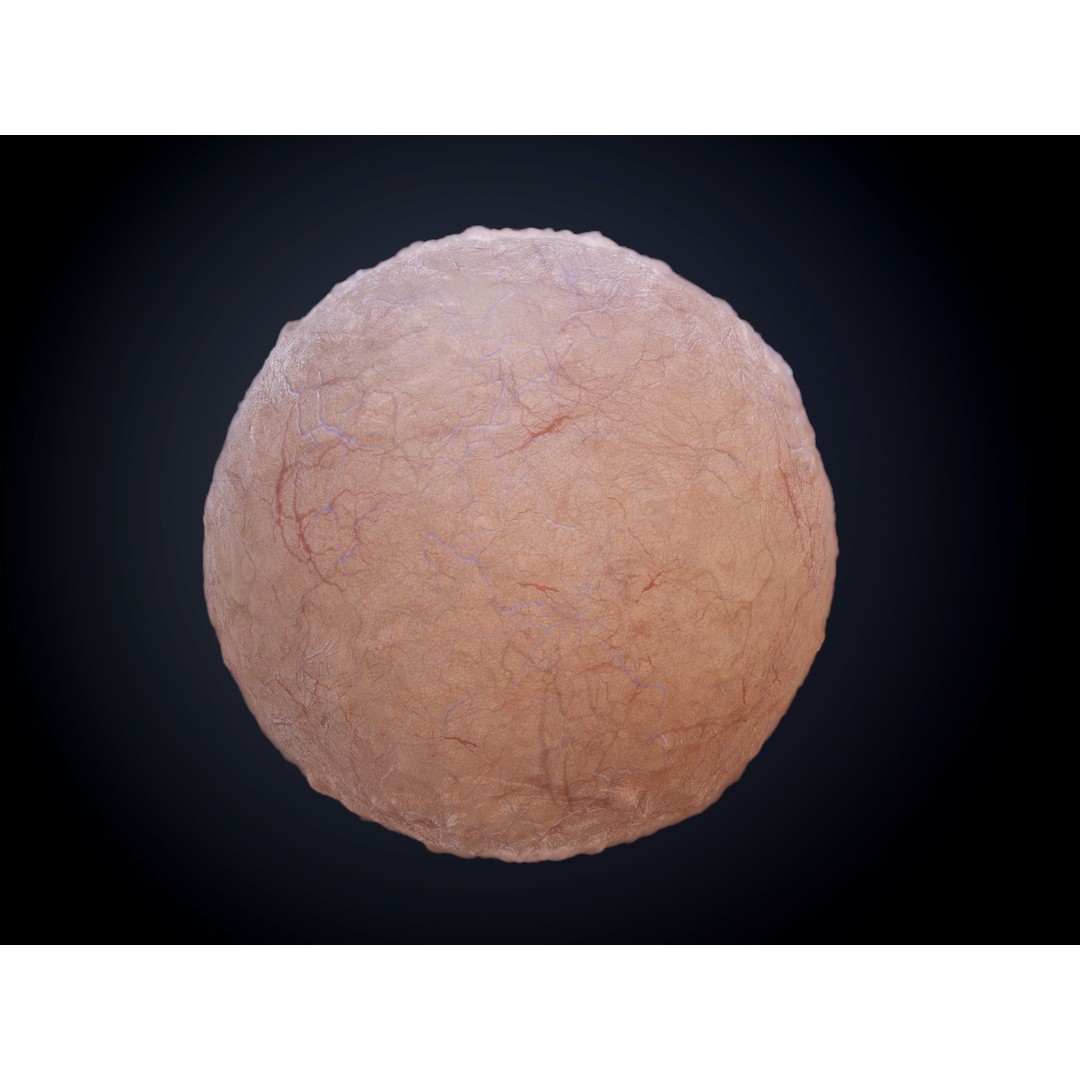 Horror Gore Skin Seamless PBR Texture Pack – 30 Textures for Games - View 20