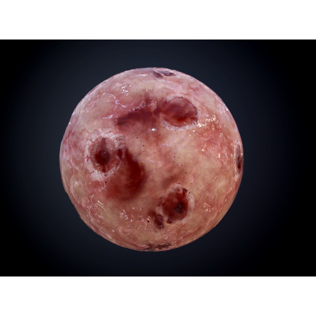 Horror Gore Skin Seamless PBR Texture Pack – 30 Textures for Games - View 4