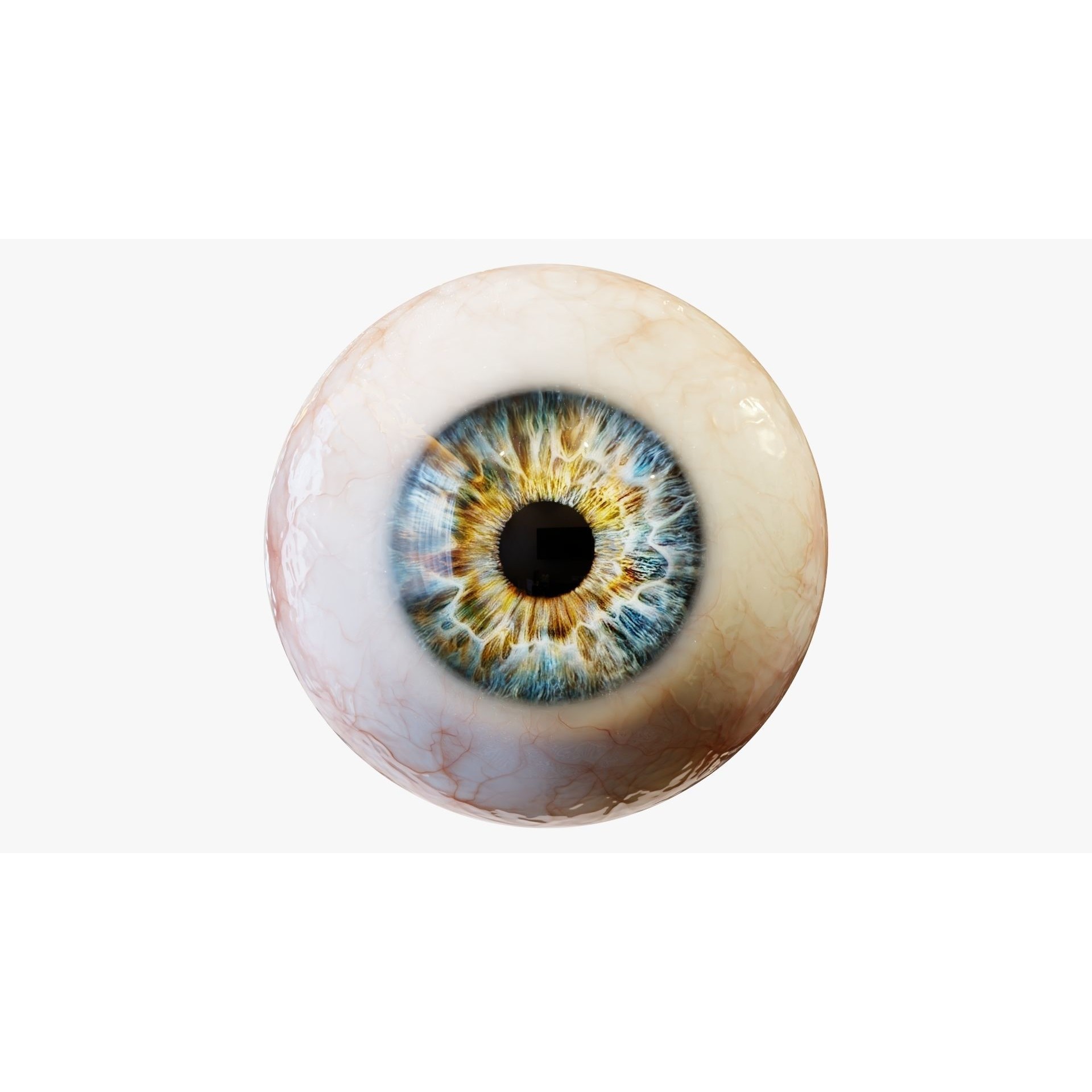 Human Eye - Low-Poly Game-Ready 3D Model - View 12