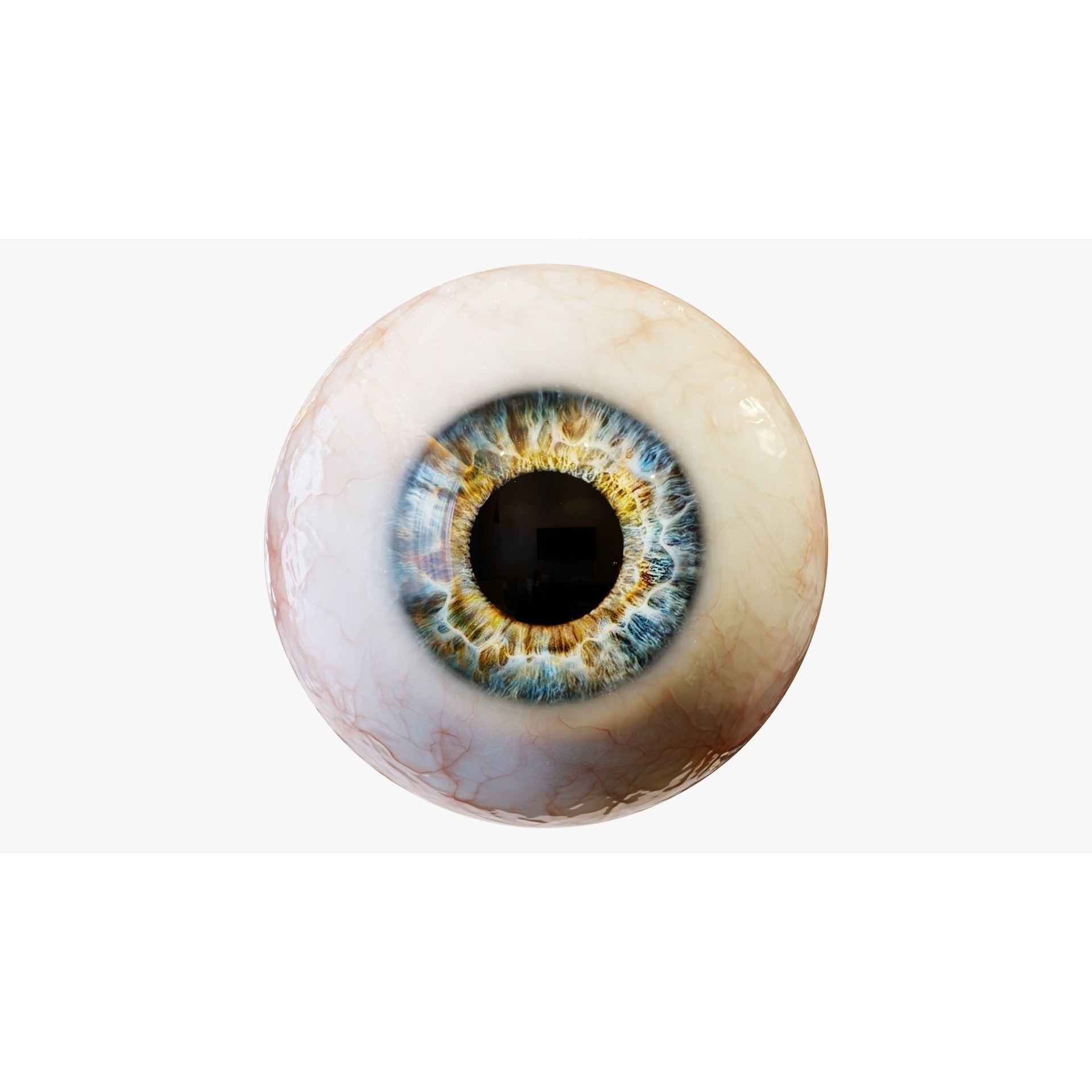 Human Eye - Low-Poly Game-Ready 3D Model - View 13