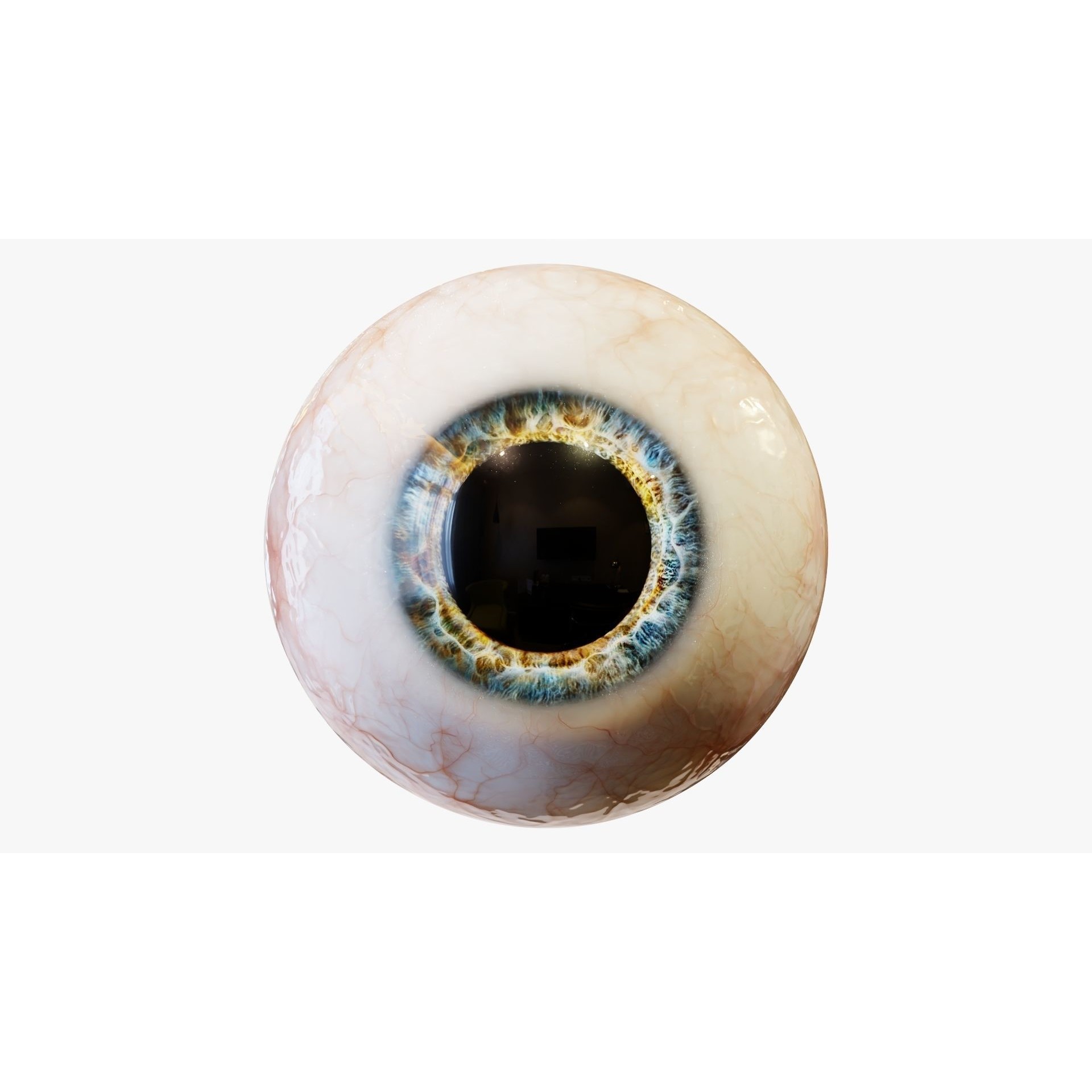 Human Eye - Low-Poly Game-Ready 3D Model - View 14
