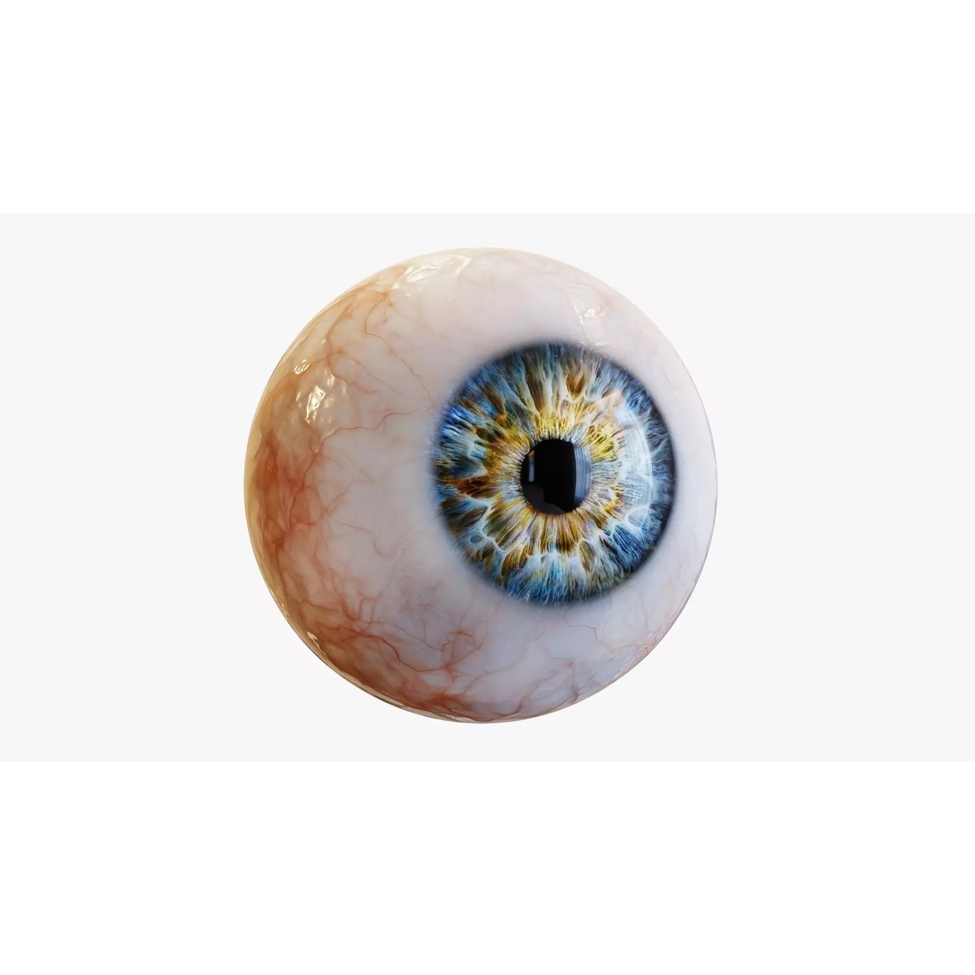 Human Eye - Low-Poly Game-Ready 3D Model - View 2