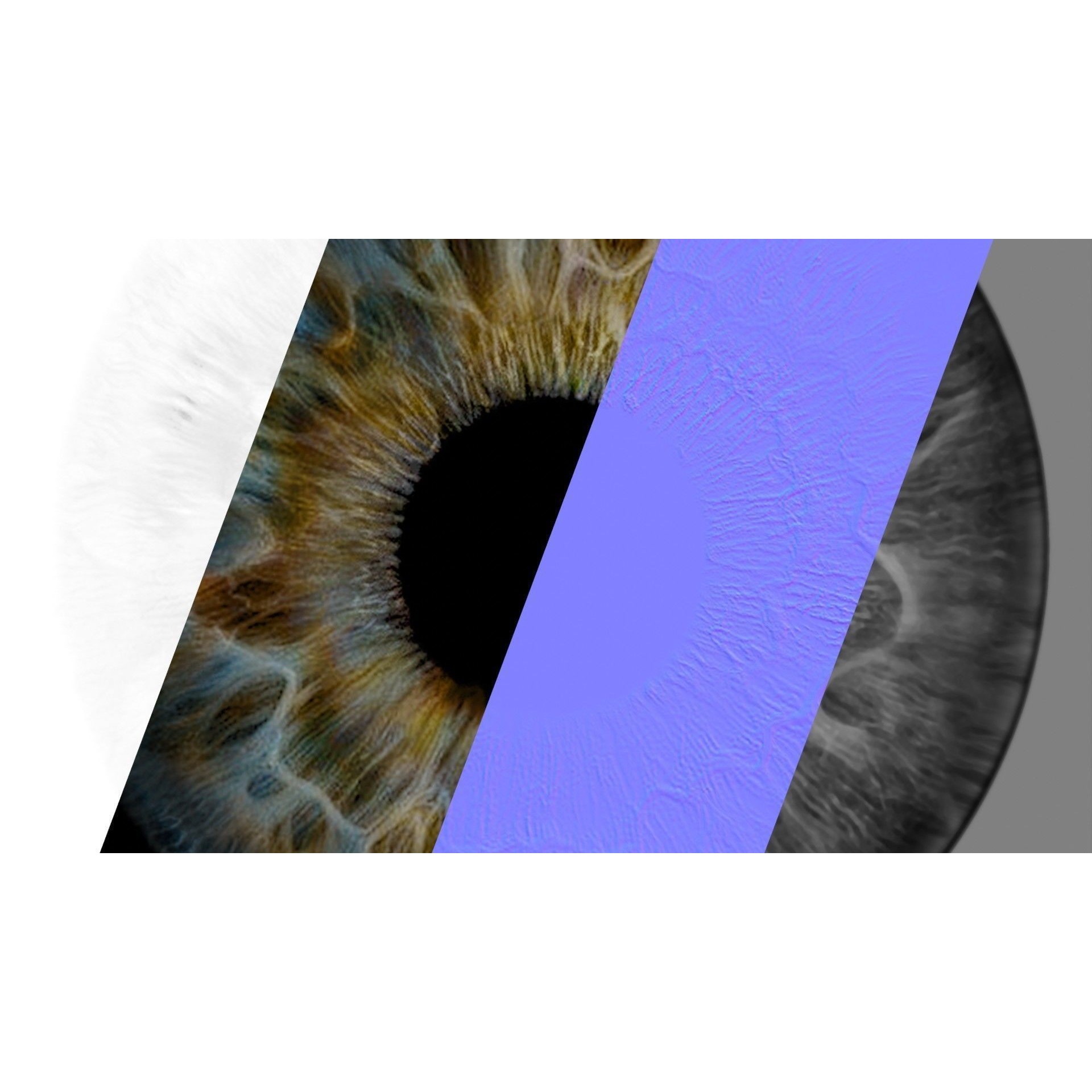 Human Eye - Low-Poly Game-Ready 3D Model - View 28