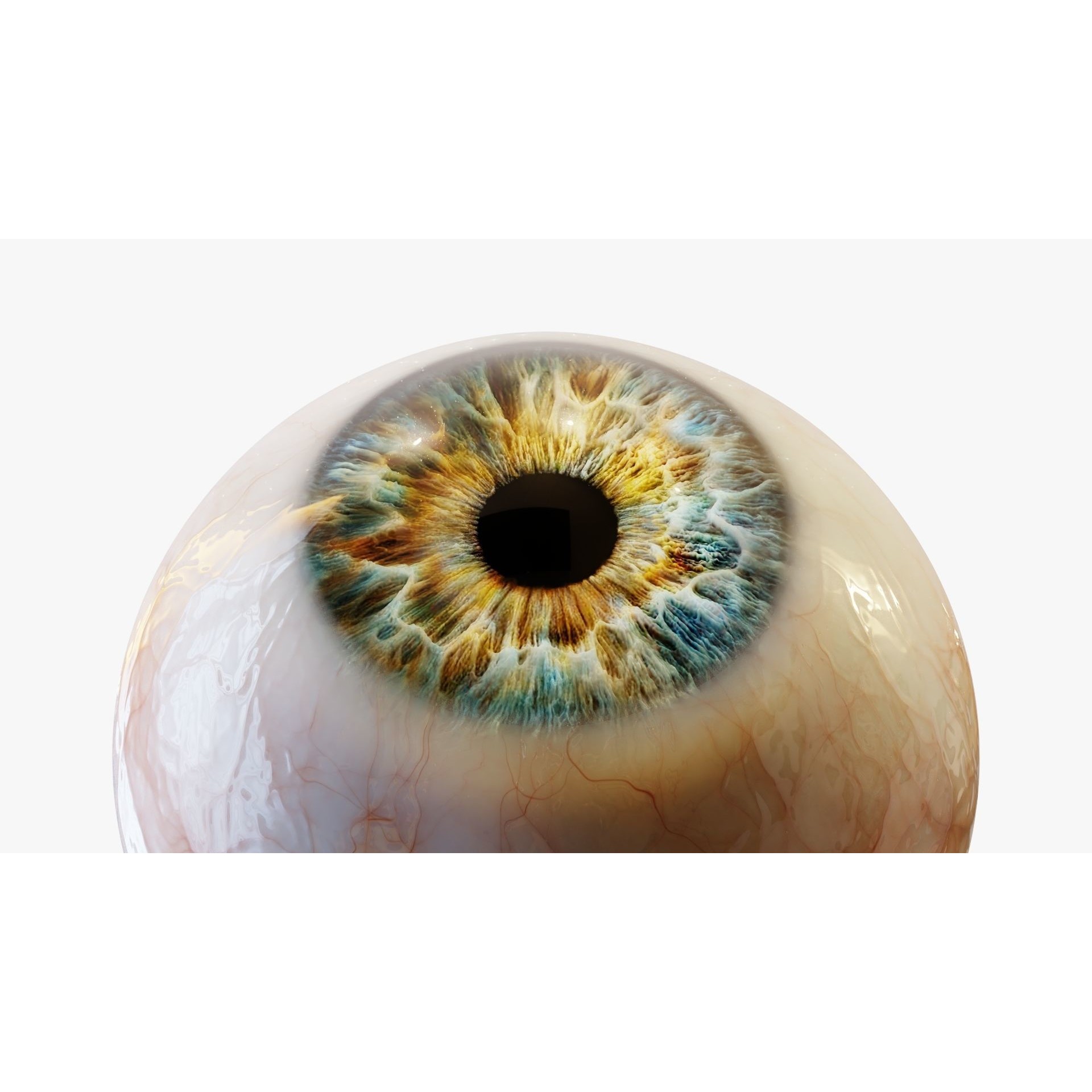 Human Eye - Low-Poly Game-Ready 3D Model - View 4