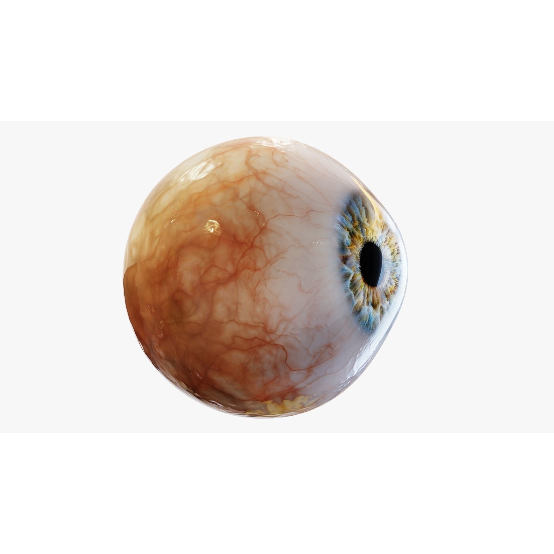 Human Eye - Low-Poly Game-Ready 3D Model - View 8
