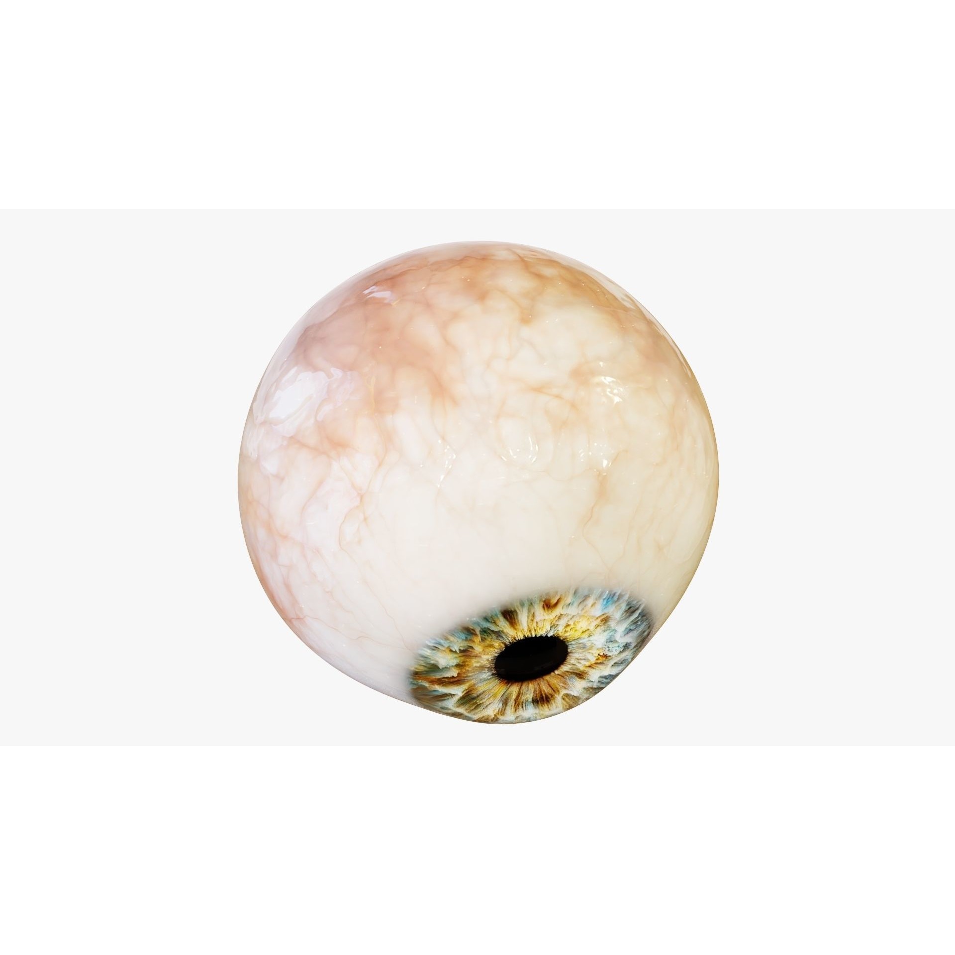 Human Eye - Low-Poly Game-Ready 3D Model - View 9