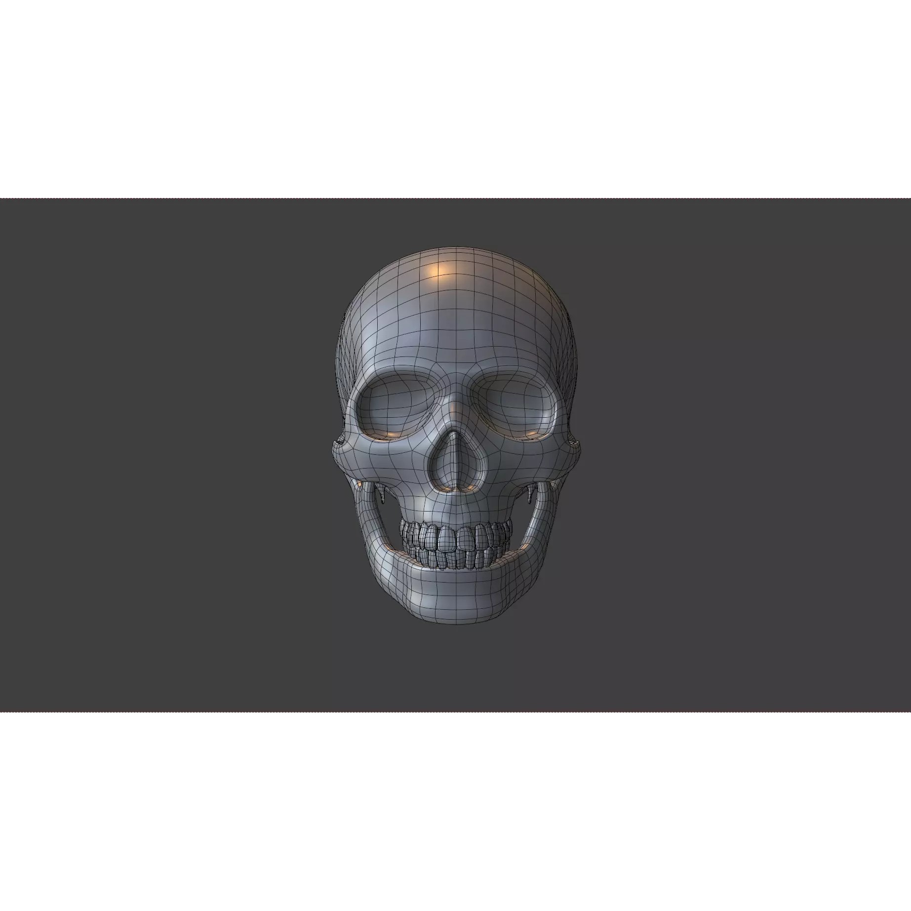 Human Skull - Low-Poly Game-Ready 3D Model - View 22