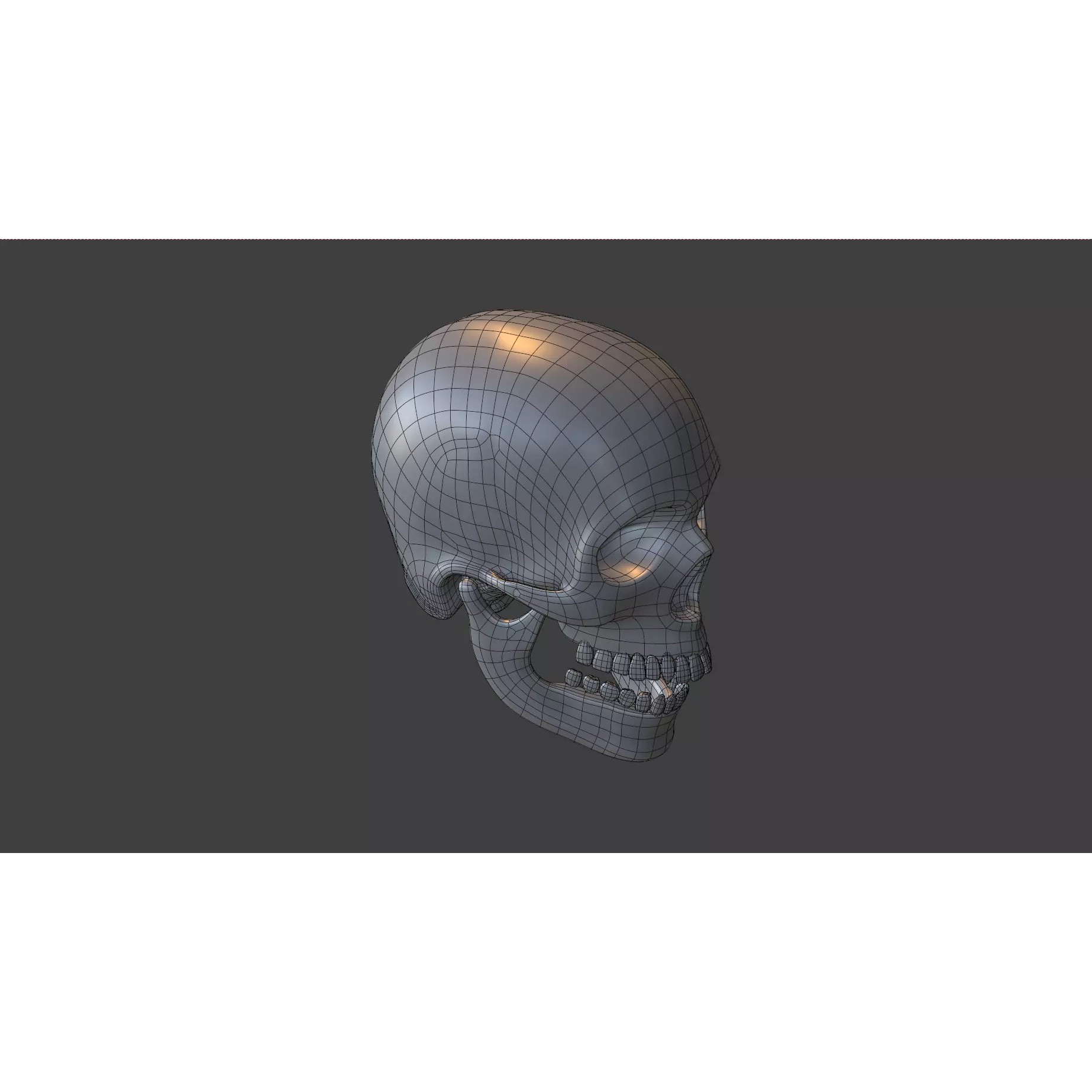 Human Skull - Low-Poly Game-Ready 3D Model - View 23